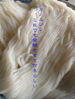 d0042827_1543354.jpg