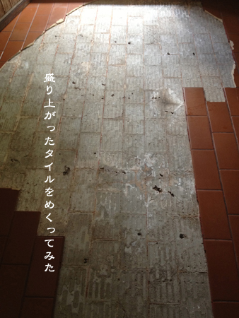 d0042827_15454941.jpg