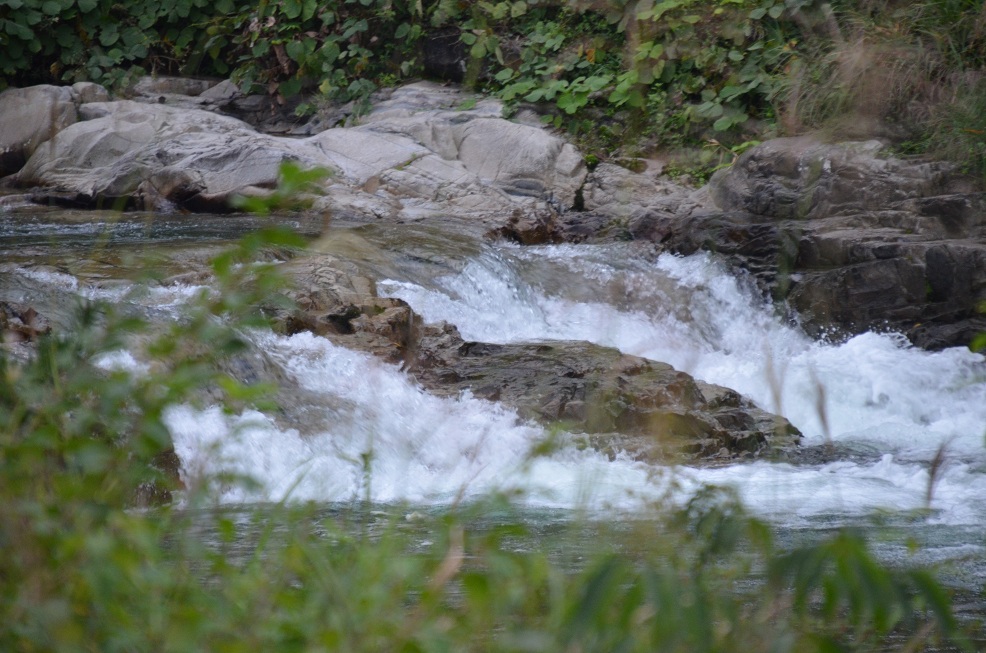 f0124830_171795.jpg