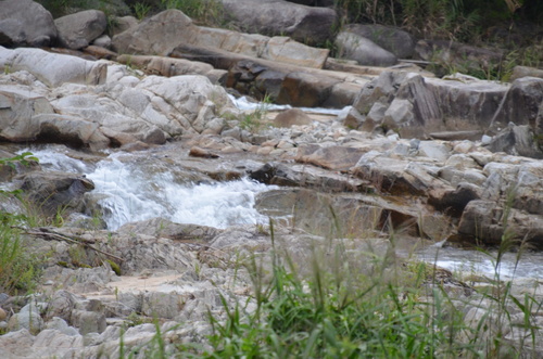 f0124830_195855.jpg