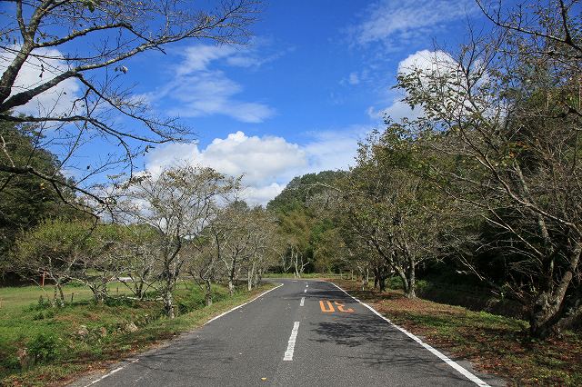 a0242438_2137669.jpg