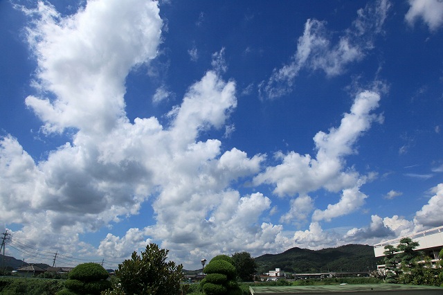 a0242438_2139172.jpg