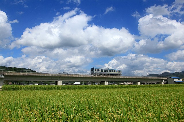 a0242438_2139867.jpg