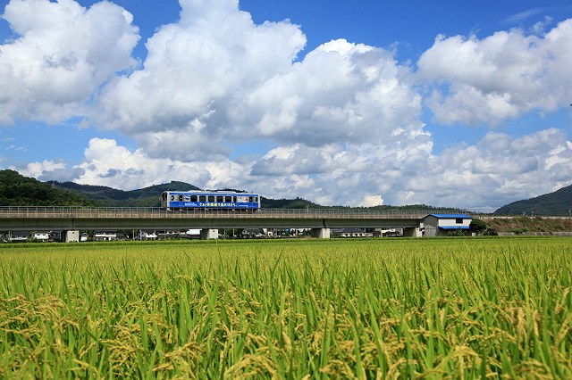 a0242438_21411791.jpg