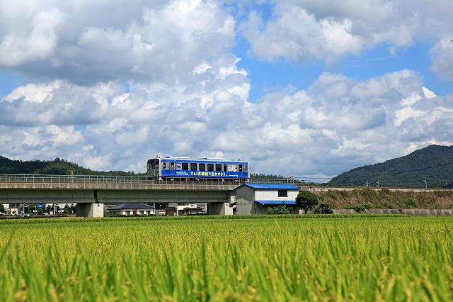 a0242438_21412579.jpg