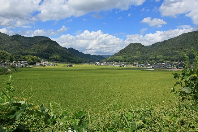 a0242438_21424978.jpg