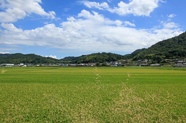 a0242438_2142692.jpg