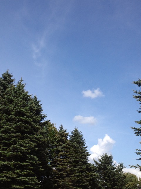 c0117239_7493433.jpg