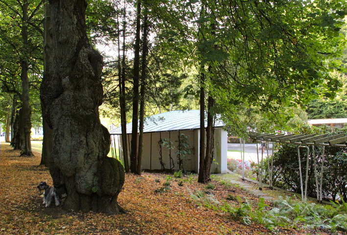 c0153740_327542.jpg