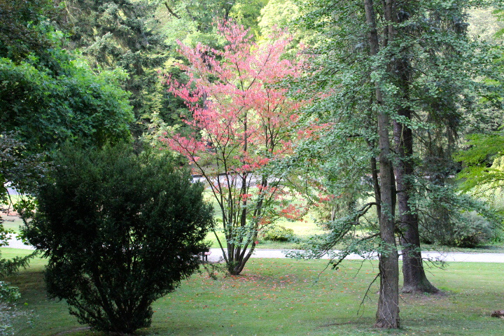 c0153740_3404149.jpg