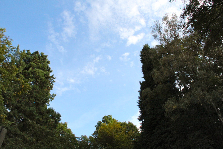 c0153740_341439.jpg