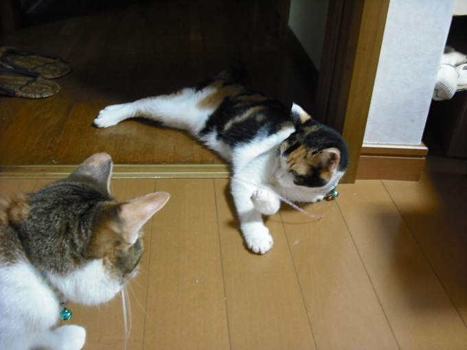 c0194042_1936375.jpg