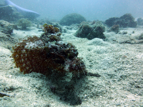 f0014842_1884292.jpg