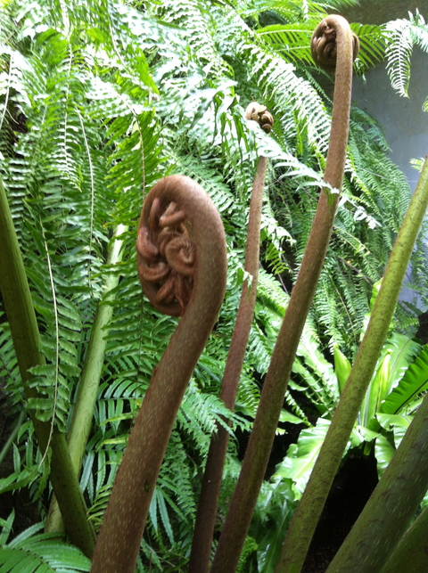 e0252746_401063.jpg