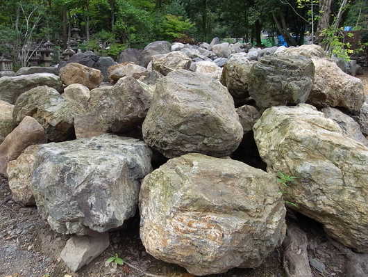 e0126548_1510546.jpg