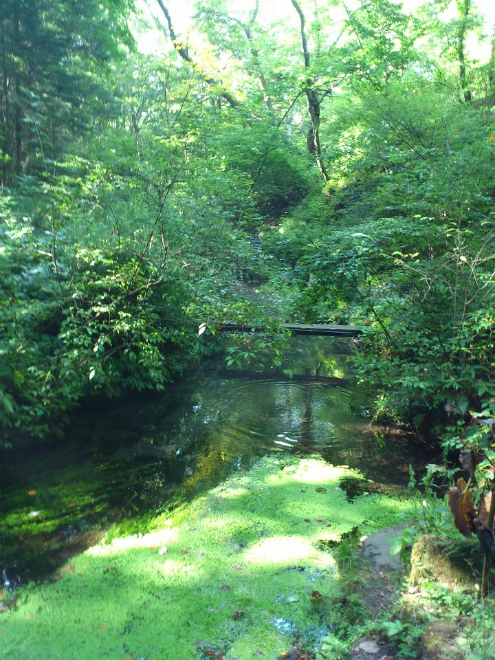 c0043751_17394984.jpg