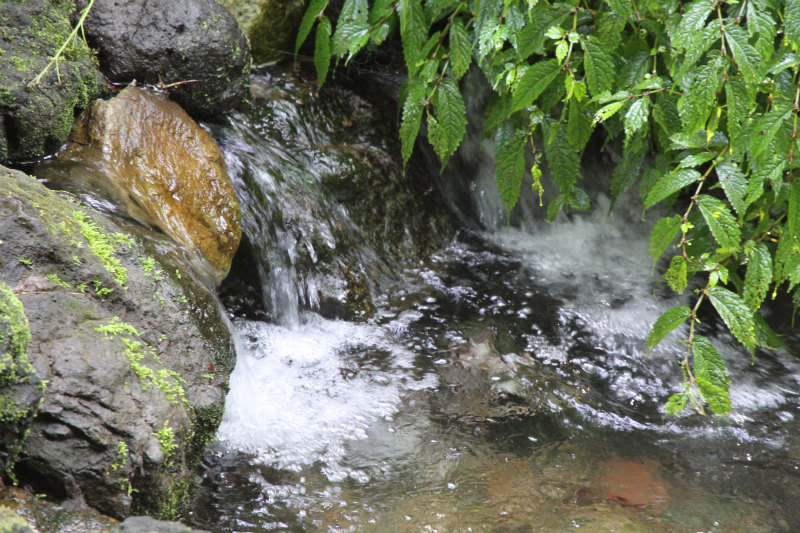 c0043751_17415519.jpg