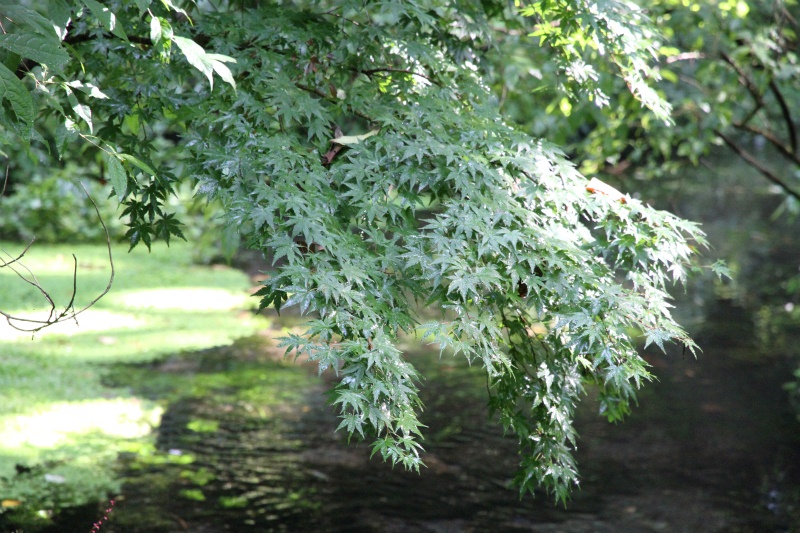 c0043751_17435970.jpg