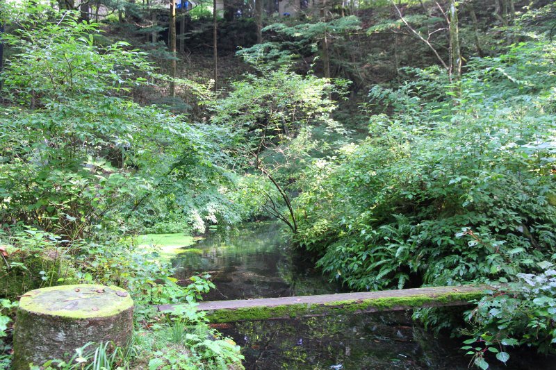 c0043751_1744873.jpg
