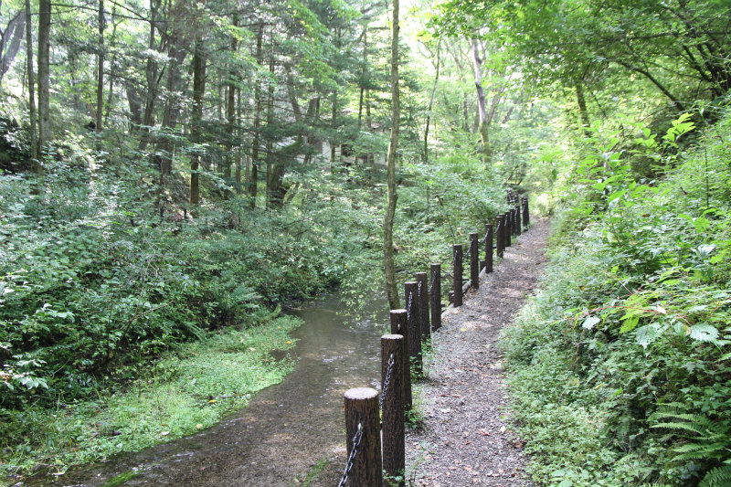 c0043751_17562568.jpg