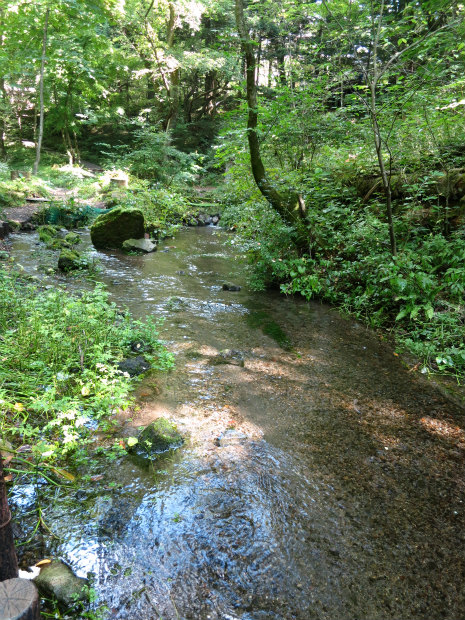 c0043751_17591792.jpg