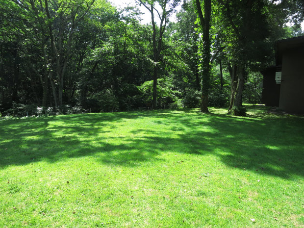 c0043751_23384253.jpg