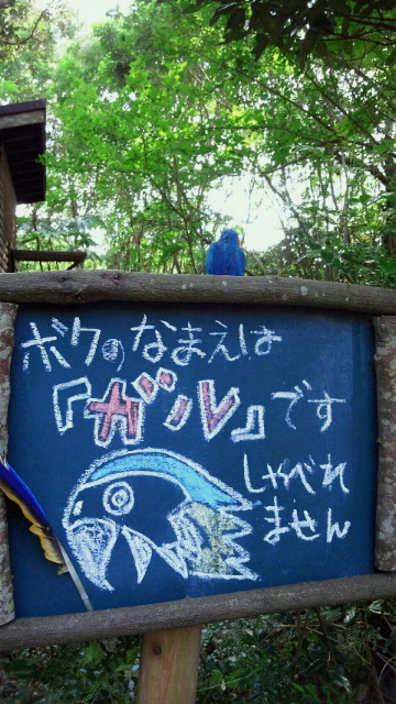 c0241952_7475444.jpg