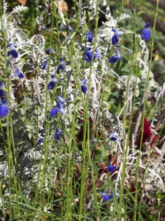 b0246758_20344938.jpg