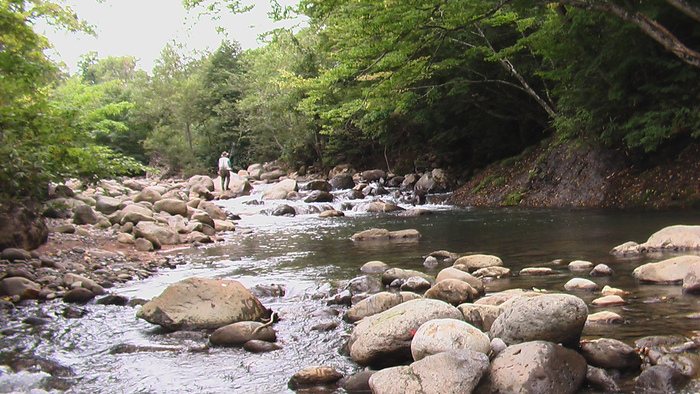 b0208961_838309.jpg