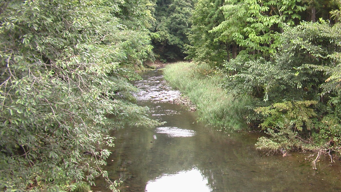 b0208961_9374218.jpg