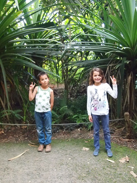 c0059063_22445564.jpg