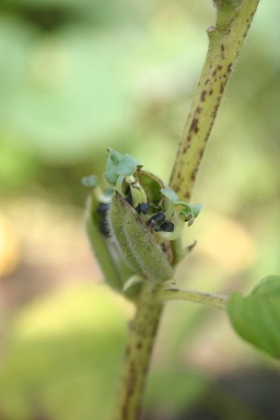 b0079965_10364141.jpg