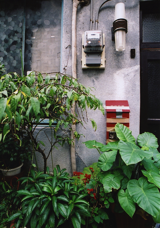c0084666_13454669.jpg