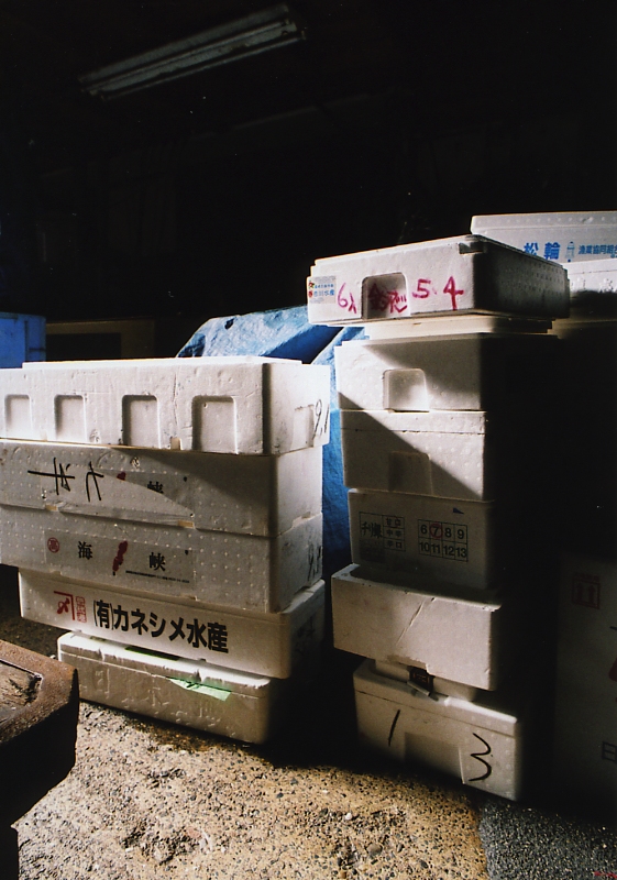 c0084666_14151741.jpg