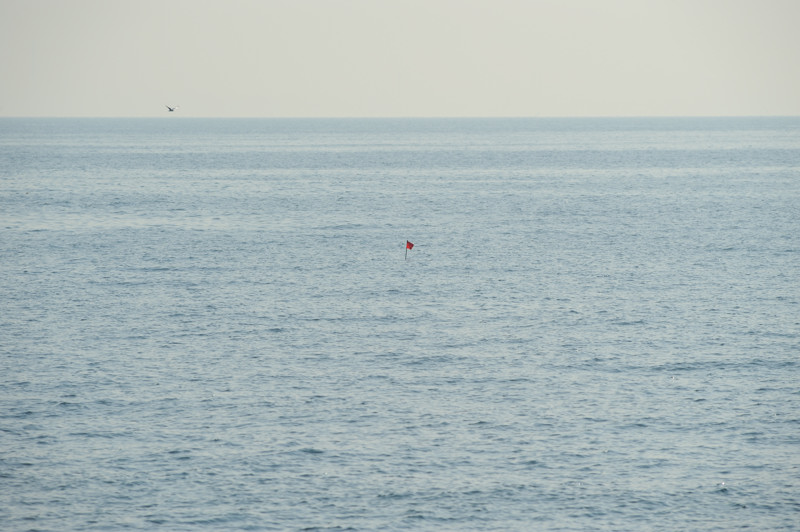 c0084666_14591483.jpg