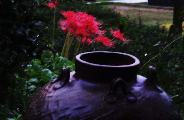 c0068168_10313693.jpg