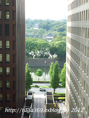 e0029472_2383057.jpg