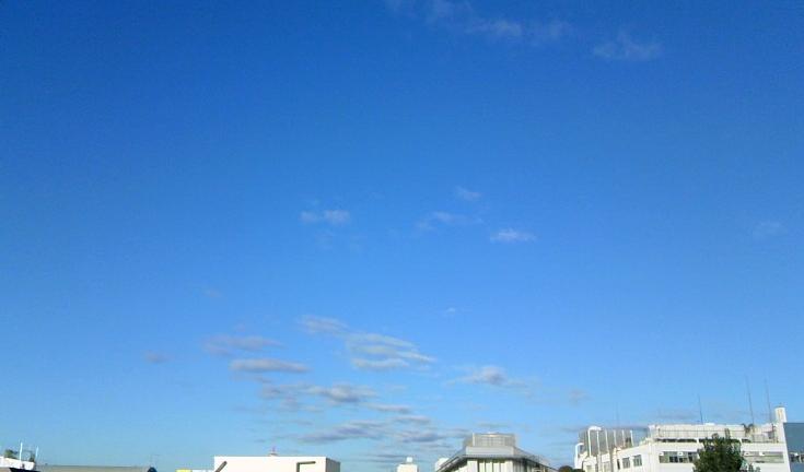 e0274872_757375.jpg