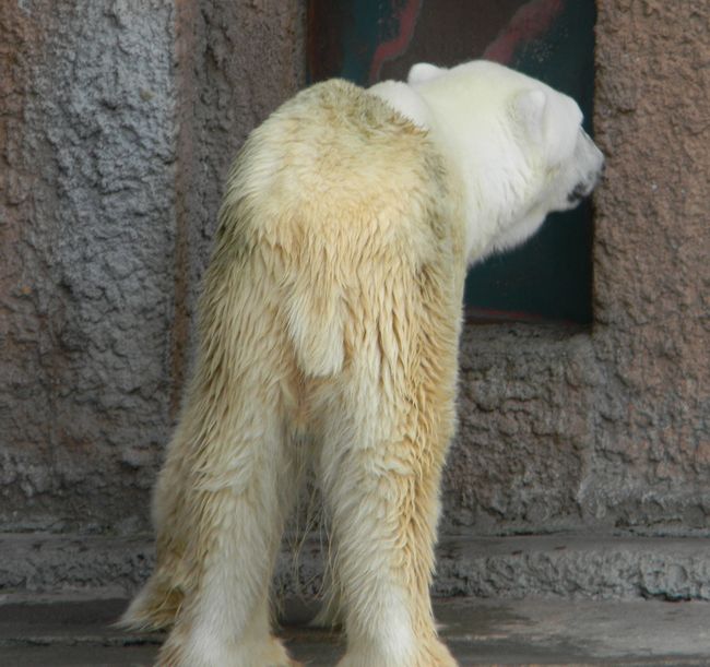b0014576_6121512.jpg