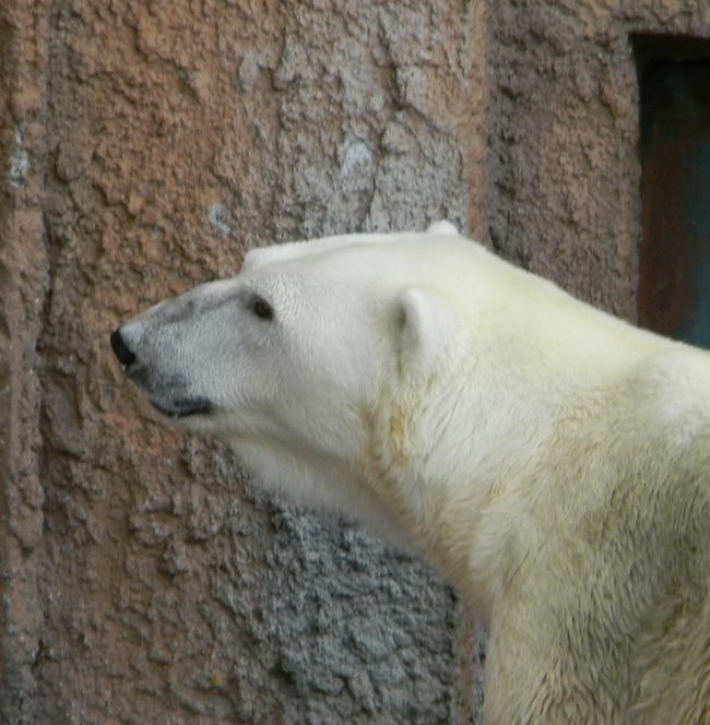 b0014576_6121711.jpg