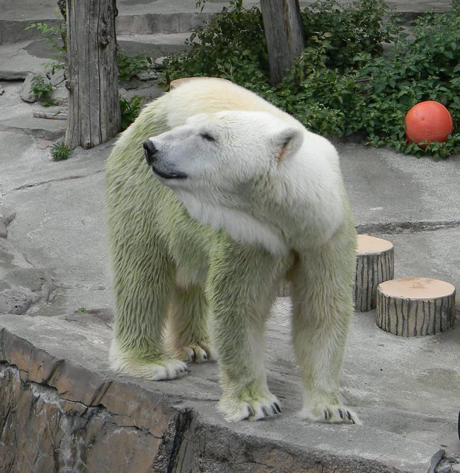 b0014576_612205.jpg