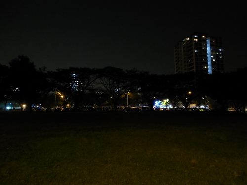 a0002177_153137.jpg