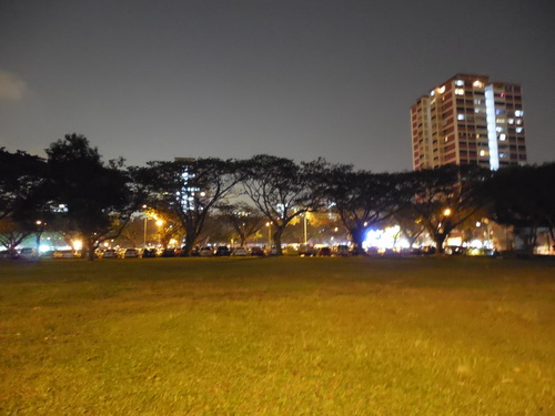 a0002177_1531836.jpg