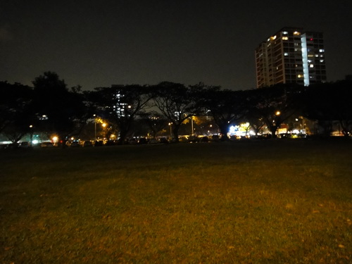 a0002177_153255.jpg