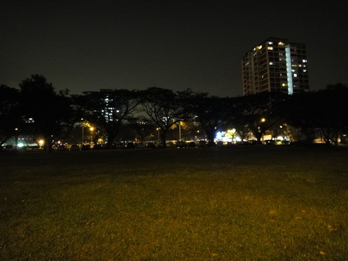 a0002177_153812.jpg
