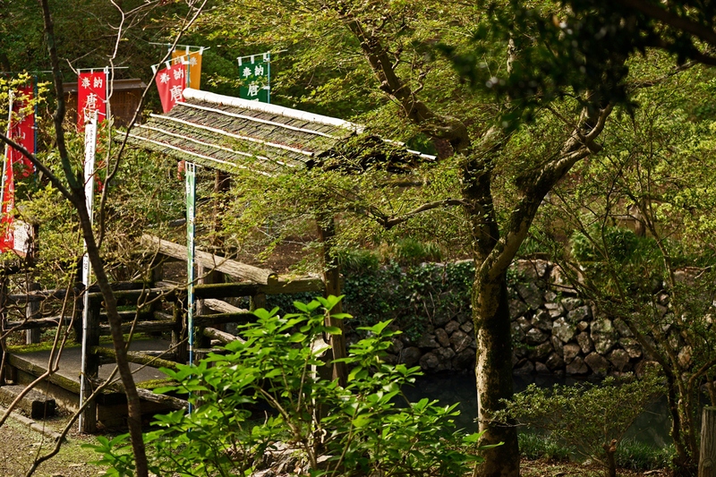 b0260378_12542478.jpg