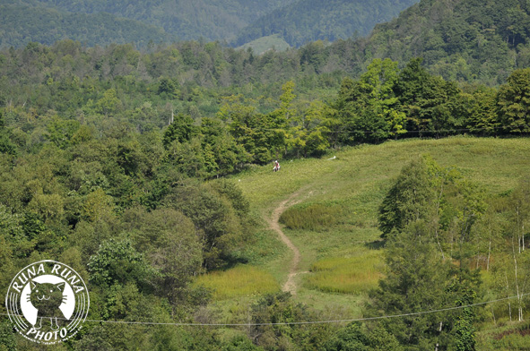 f0210380_2013152.jpg