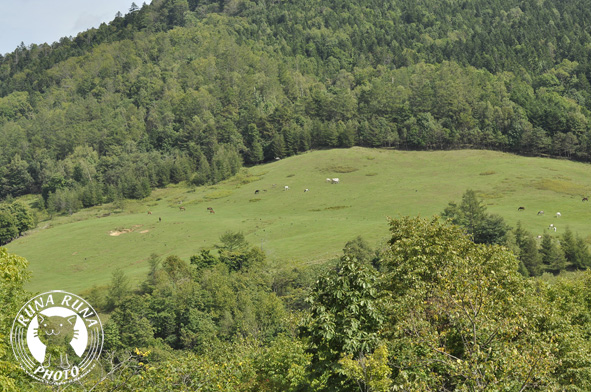 f0210380_202189.jpg