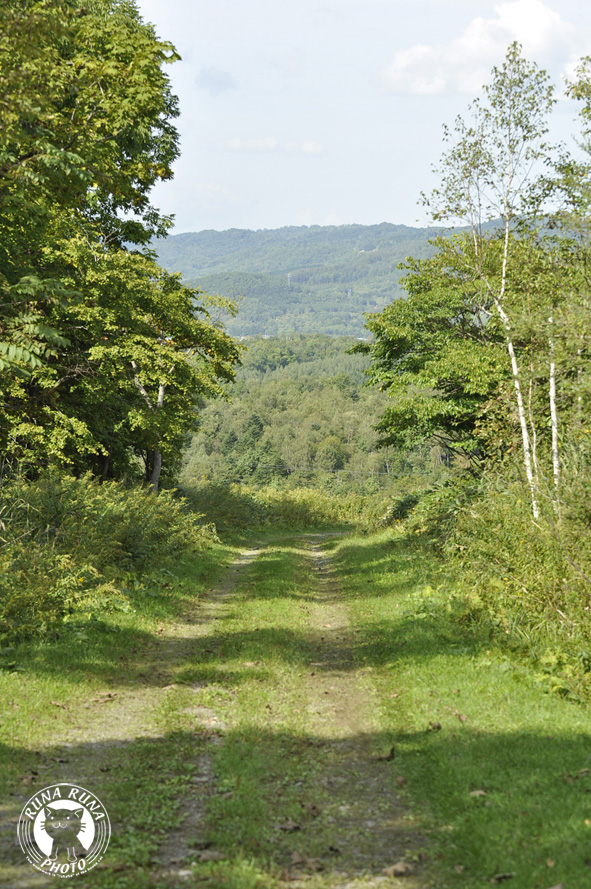 f0210380_20285380.jpg