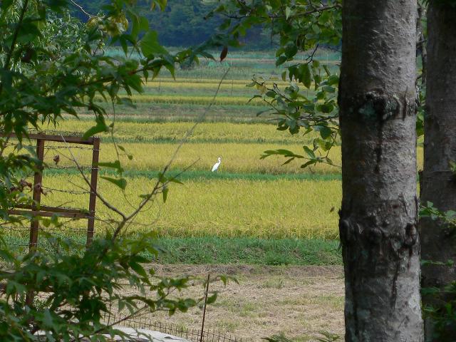 b0042882_1303395.jpg